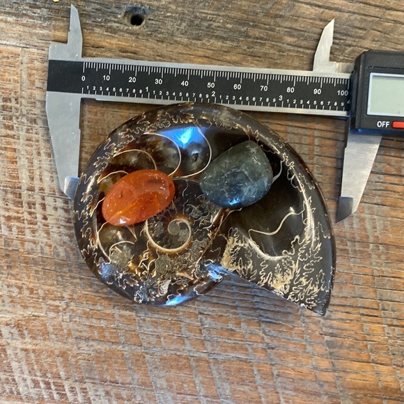 Ammonite fossil dish/bowl - Picture 4 of 5